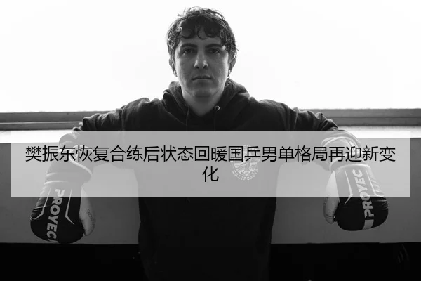 樊振东恢复合练后状态回暖国乒男单格局再迎新变化